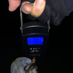 メバリングのつもりが…