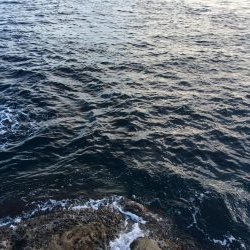 大島17番タキでフカセ釣り