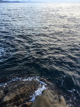 大島17番タキでフカセ釣り