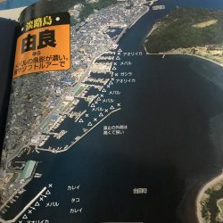 夜釣りで太刀魚ラッシュ！