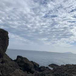 ガシラしかいない