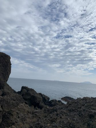 ガシラしかいない