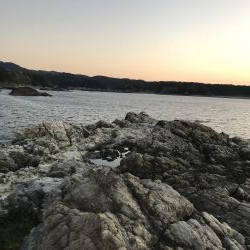 フカセ釣り、エギング