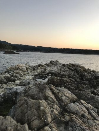 フカセ釣り、エギング