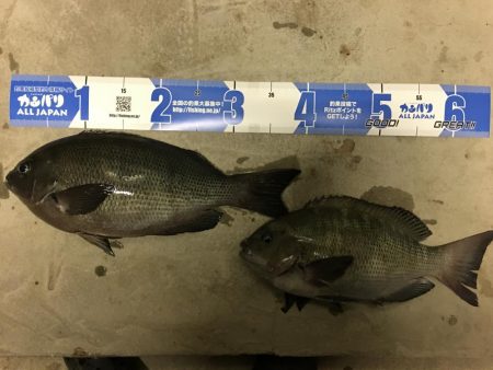 シーズンですね