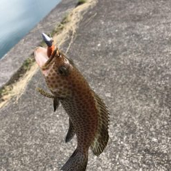 久々の三重釣行