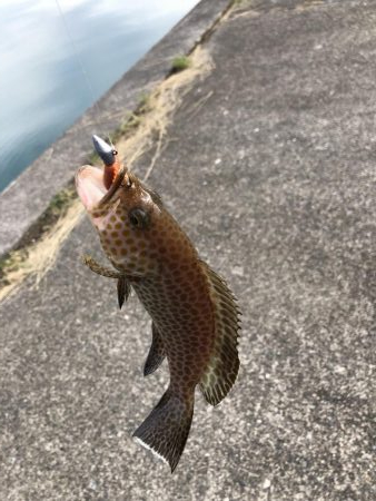 久々の三重釣行