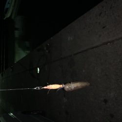 リベンジマッチ