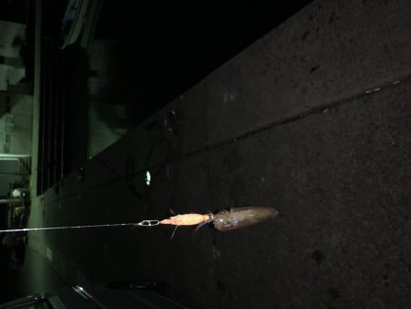 リベンジマッチ