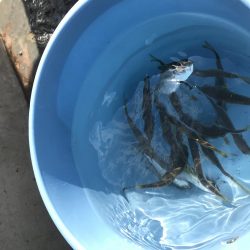 プライベート釣り場