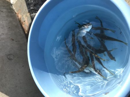 プライベート釣り場