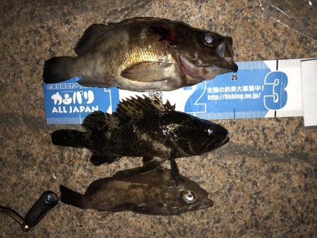 メバリング成立。