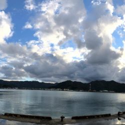 鯉川でぼちぼち