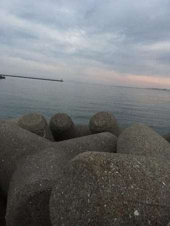 津田・小松島 ライト広域調査