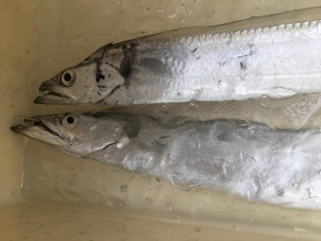 寒くなってきた