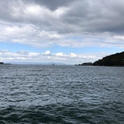 ノマセ不発、でもタチウオはいた！