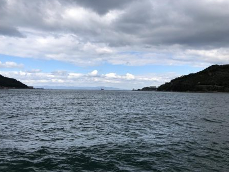 ノマセ不発、でもタチウオはいた！