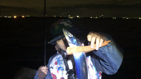 思ってたよりデカイ