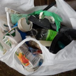 マゴチ多いです