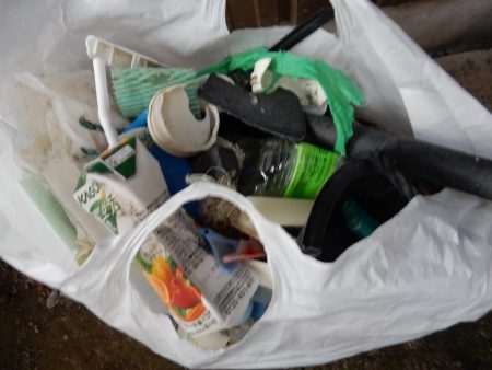 マゴチ多いです