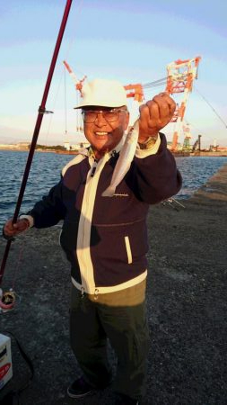 播磨新島でキス狙い