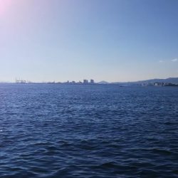 タチウオ&アジほか