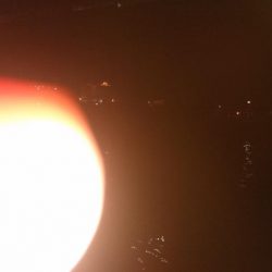 初シーバスゲット