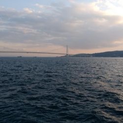 ルアーを忘れてサビキでアナハゼとスズメダイ