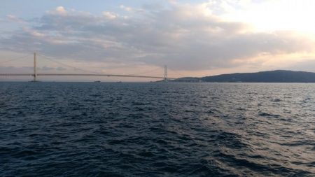 ルアーを忘れてサビキでアナハゼとスズメダイ