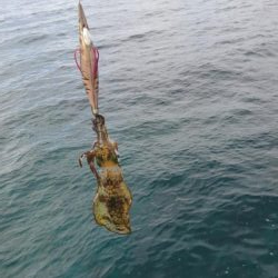 出張でアウェイの場所