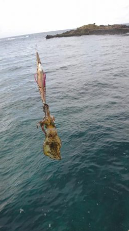 出張でアウェイの場所