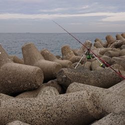 カレイ釣り、落ちギス釣り