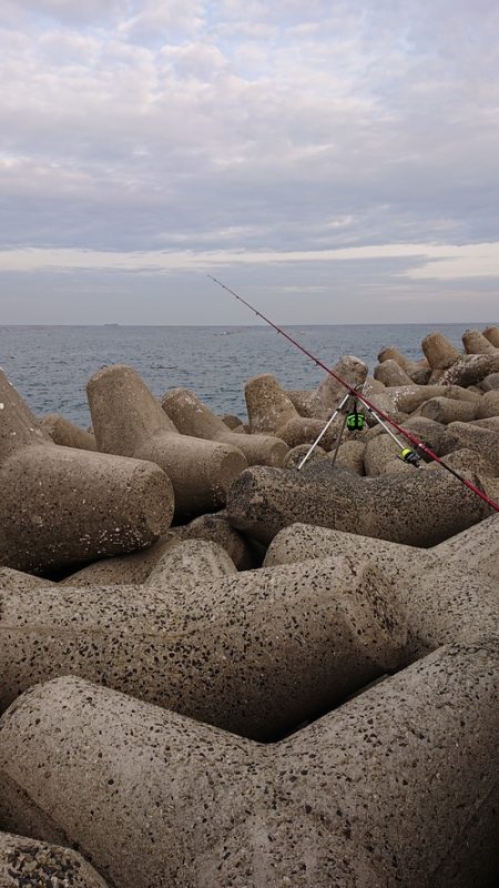 カレイ釣り、落ちギス釣り