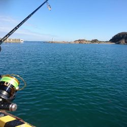 デイライトゲーム