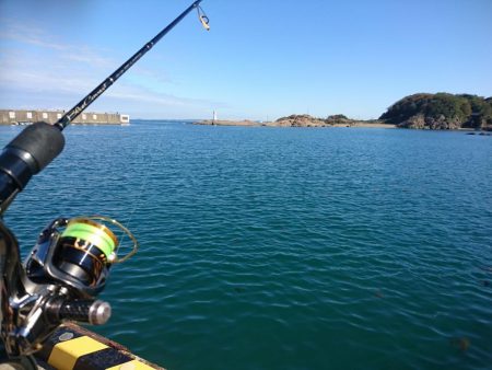 デイライトゲーム