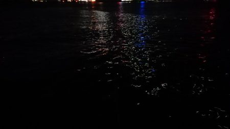 神戸港大潮タチウオからのシーバス♪