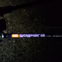 泉大津エリア タチウオ遠征