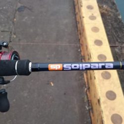 大潮2日目のタチウオ釣行