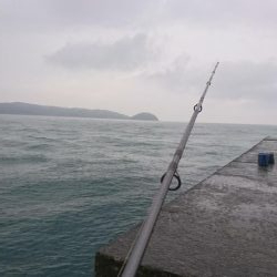 イカが釣れたからいーか