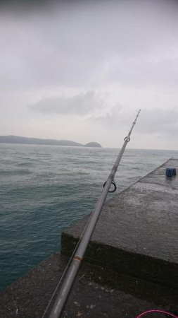 イカが釣れたからいーか