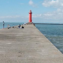 播磨新島へ釣行しました