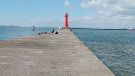 播磨新島へ釣行しました