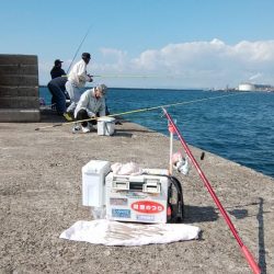 播磨新島でキス狙い