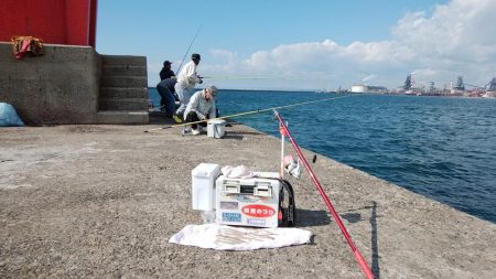 播磨新島でキス狙い
