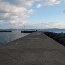 近場の江井ヶ島でハゼ釣り