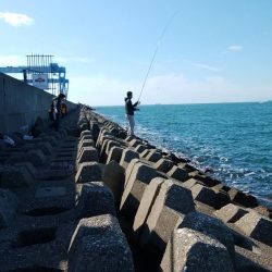 東二見水道で落ちギス釣り