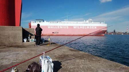 播磨新島で落ちギス釣り