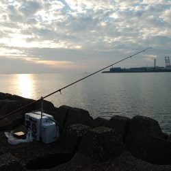 東二見水道で落ちギス釣査