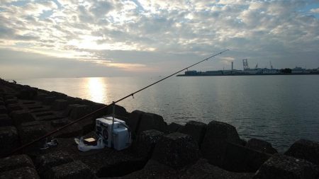 東二見水道で落ちギス釣査