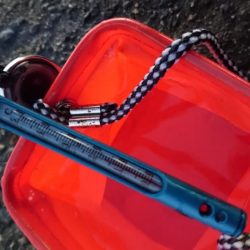 コウイカちゃん